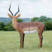 Wildcrete Impala Ram